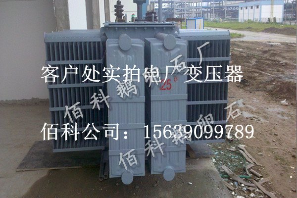 客戶想要購買齊全的水處理鵝卵石到哪里去？
