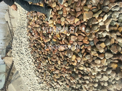 近段鵝卵石價(jià)格怎樣？