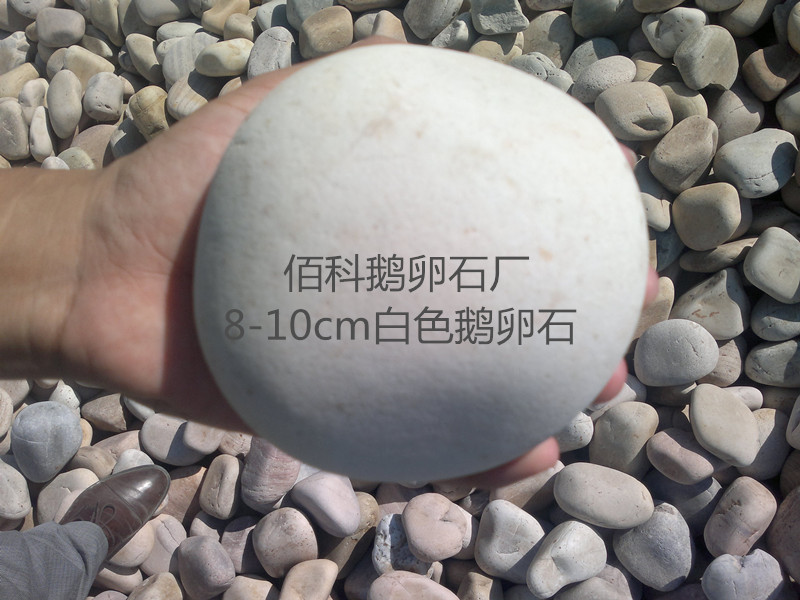 通過聽鵝卵石的故事，使我們學會了無論做什么事情都要有主次之分